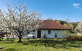 Apartament Izerskie Gaje