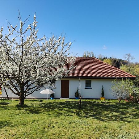 Apartament Izerskie Gaje Wojcieszyce Zewnętrze zdjęcie