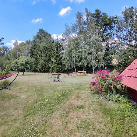 Apartament Izerskie Gaje Wojcieszyce Zewnętrze zdjęcie
