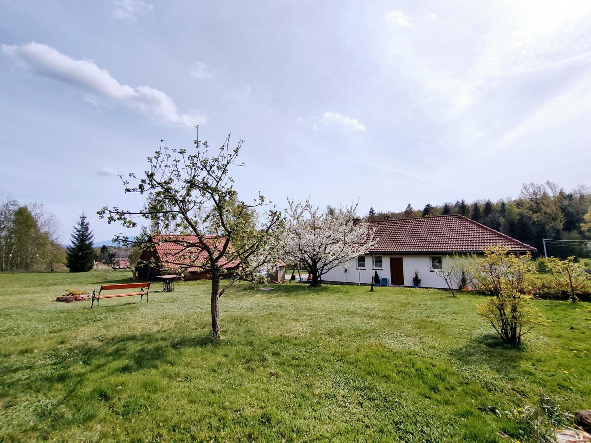 Apartament Izerskie Gaje Wojcieszyce Zewnętrze zdjęcie